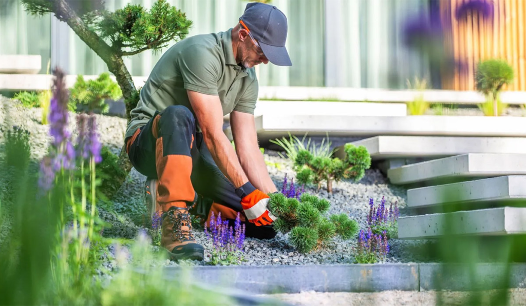 landscaping services